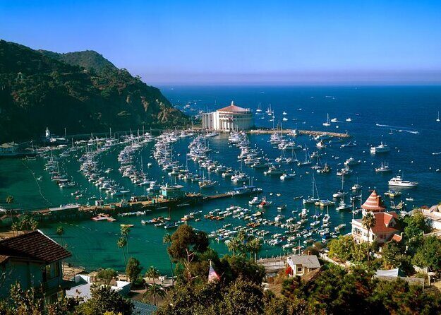 Catalina Island Day Trip from LAX area hotels with Undersea Adventure - Catalina + Undersea Expedition: what this day trip is really selling