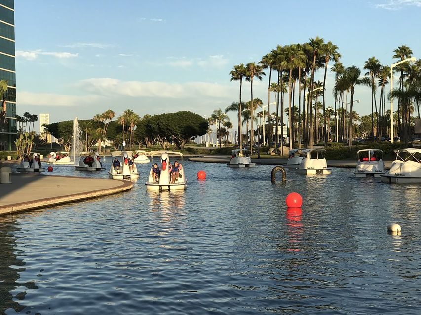 Long Beach: Swan Boat Rental at Rainbow Lagoon - Who should book this swan boat rental