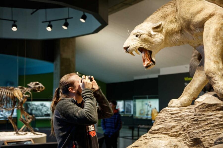 Los Angeles: La Brea Tar Pits Museum Ticket - Quick practical tips for a smoother visit