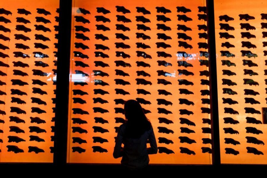 Los Angeles: La Brea Tar Pits Museum Ticket - Price and value: is $18 a fair deal?
