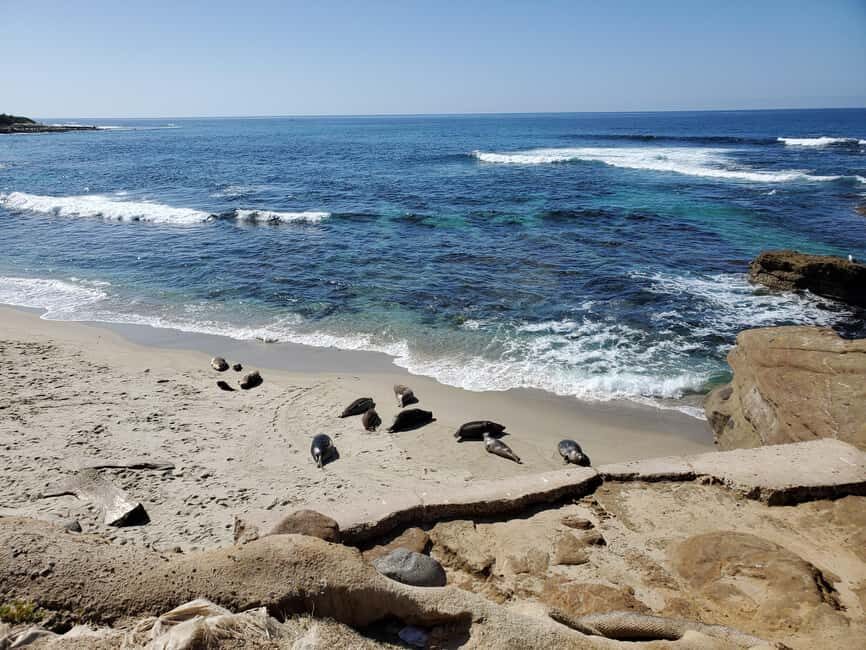Los Angeles: private tour to San Diego - Balboa Park: Big-Feel Views in a Manageable Time Slot