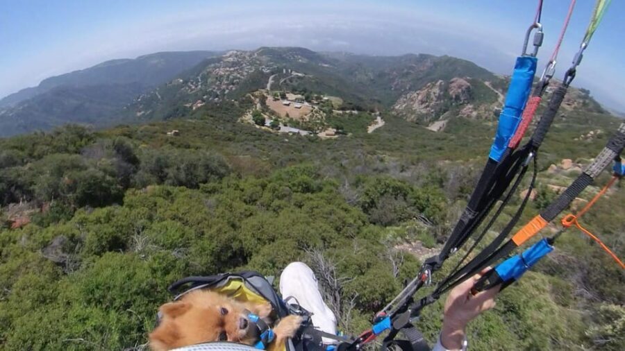 Malibu Hills to Beach: Tandem Paragliding Flight Adventure - Equipment and safety: what Supair gear means for peace of mind