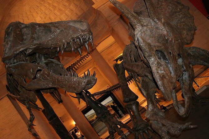 Natural History Museum of Los Angeles County Admission - Key things I’d plan for