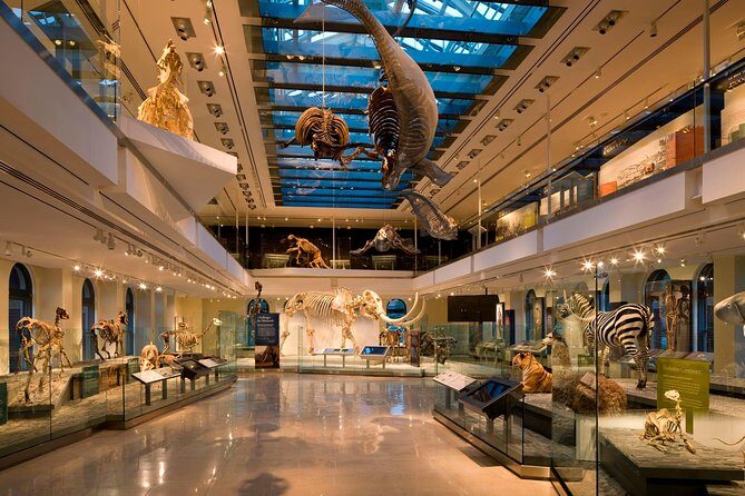 Natural History Museum of Los Angeles County Admission - Becoming Los Angeles: history of the city inside the museum
